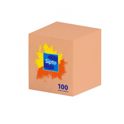 Бумажные салфетки STANDART COLOR 100